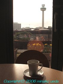 view from a cafe on the top floor at WML