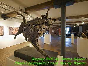 'Raging Bull' by Emma Rogers
